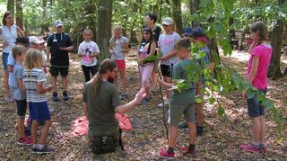 Auch Waldmemory wird beim Ferienprogramm von Umweltverein und Grünem Gockel der evangelischen Kirche gespielt: Erst die gezeigten Dinge gut einprägen und dann die jeweiligen Pflanzen oder deren Teile im Wald wiederfinden.