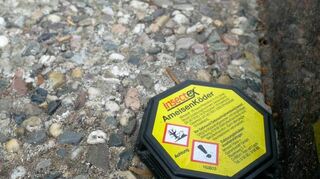 Vereinzelt haben Friedhofsbesucher Köderboxen ausgelegt, um ihre Gräber von den Insekten möglichst freizuhalten.