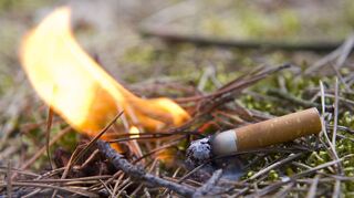 Eine achtlos weggeworfene Zigarette verunreinigt nicht nur das Grundwasser, sondern kann auch schnell zu einem Waldbrand führen – gerade jetzt, nach Wochen ohne stärkere Regenfälle.