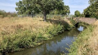 Nach einem kurzzeitigen Höhepunkt durch das Unwetter im Kraichgau sinken die Pegelstände beim Leimbach wieder erkennbar. Zeitweise war der Pegel am Samstag um das doppelte des aktuellen Werts angewachsen.