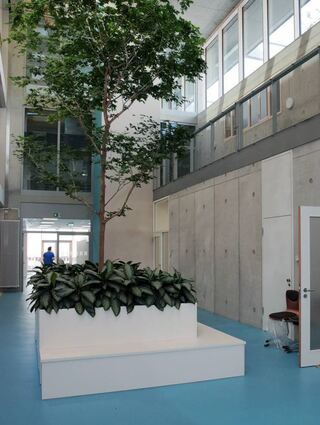Herzstück des Gebäudes: das Atrium mit seinem mächtigen Baum.