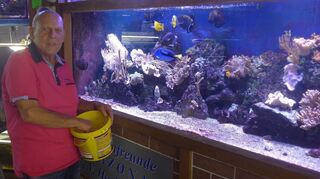 Norbert Dörner kümmert sich mit großer Sorgfalt um die Becken der Aquarienschau.
