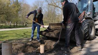 Hier werden neue Kastanien im Schwetzinger Schlossgarten angepflanzt.