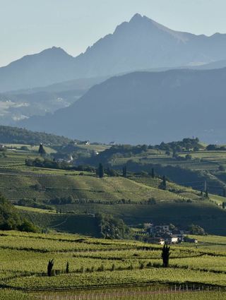 Im Südtiroler Unterland liegt die Weinstraße – sie zählt zu den ältesten Anbauregionen Italiens.