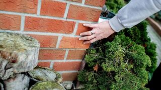 Bei Rissen oder Ecken in der Fassade besteht Handlungsbedarf, bevor Feuchtigkeit eindringen kann.
