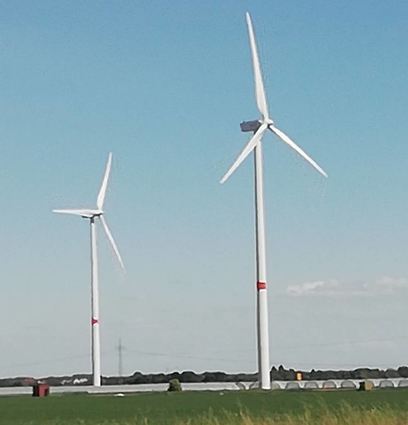 Windkrafträder in der Rheinebene sind für die Grünen unerlässlich, um etwas für den Klimaschutz zu tun. Deshalb wollen sie mehr Anstrengungen der Kommunen.
