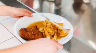 Schnitzel mit Kartoffeln und Soße: Das soll es ab dem Schuljahr 2023/2024 in Freiburger Schulmensen nicht mehr geben.