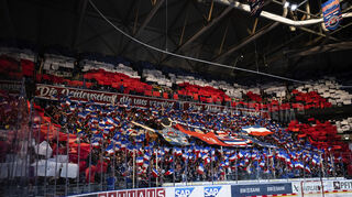 hockey steht bei den Fans, wie hier beim Spiel der Adler Mannheim gegen die Löwen Frankfurt am Wochenende, hoch im Kurs.