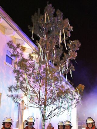 Da steht er, der Baum: Die Feuerwehr hat in schöner Tradition das Gewächs in Pascal Seidels Garten gebracht.