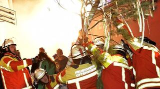 Hau ruck! Die Feuerwehrkameraden stellen die Schwarzkiefer mit grün-weißer Banderole in die Betonhalterung.