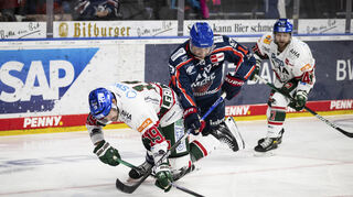 Jordan Szwarz von den Adlern Mannheim im Rennen um den Puk gegen Drew Leblanc von den Augsburger Panthern.