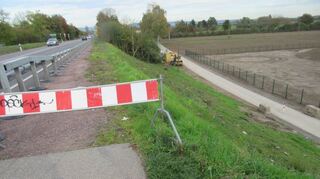 Vereinfachung im Wartestand: Im kommenden Jahr soll der vom Speyerer Ufer ankom-mende Radweg hier direkt in Richtung Bauernhof Lußhof weitergeführt werden.