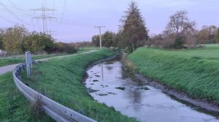 Dieses morgendliche Bild vom Leimbach mit sehr wenig Wasser hat unser Leser Hans-Joachim Appel zugeschickt.