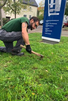 Auf Grundstücken des Kreises werden Blumen gepflanzt.