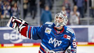 Wieder fit nach einer Mittelohrentzündung: Felix Brückmann kehrt ins Tor der Adler Mannheim zurück.