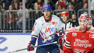 Mannheims Markus Eisenschmid (Nr.16) beim Spiel in der Penny DEL, Koelner Haie (dunkel) - Adler Mannheim (hell).