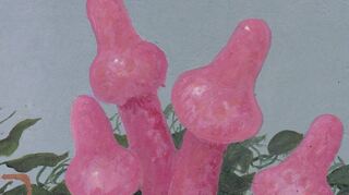 Die neue Ausstellung: „Phantastische Pilze“ zeigt die Werke von Martin Becker, die interessante Assoziationen zulassen.