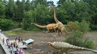 Dinos faszinieren uns. Der Saurierpark Münchehagen zählt zu den Orten, wo man sich auf ihre Spuren der Urzeitwesen begeben kann.