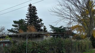 Auf dem Grundstück des ehemaligen Kulbach-Geländes soll ein neuer Naturkinder-garten für rund 20 Kinder entstehen. Weil die Wege hier so eng sind, dürfen die Kinder nicht mit dem Auto gebracht werden.