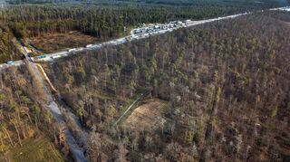 Der Hockenheimer Stadtwald in Richtung Autobahn.