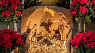 Krippe, Weihnachtssterne und beleuchtete Bäume – eine stimmungsvolle Szenerie in St. Kilian Oftersheim aus dem Jahr 2021. Noch fehlt das Jesuskind.