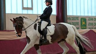 Macht auf „Bellamissima S“ beim 26. Drei-König-Hallenturnier in der Dressurprüfung Klasse L – Trense L3 eine gute Figur: Kathrin Weixler.