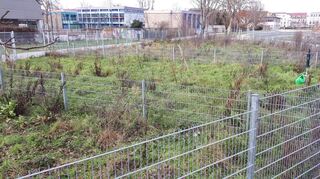 Wildwuchs am Wegesrand des sonst so schmucken Hochwasserschutz- und Ökologieprojekts beim Schulzentrum: Brunnen und Gießkanne stehen auf der Gartenparzelle rechts bereit, ein Baum ist gepflanzt, doch sonst ist außer der Umzäunung hier noch nichts passiert – und das gleich in mehreren Gärten.