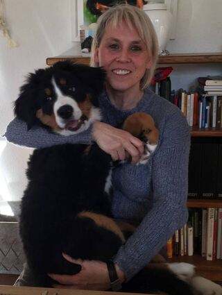 Zu den Tieren, denen der Verein ein neues Zuhause gesucht hat, gehört auch ein Berner Sennenhund.