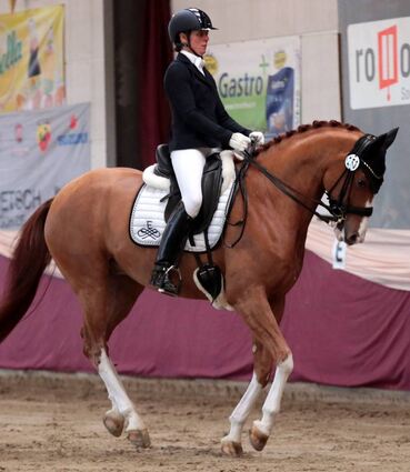 Juliane Fehl vom RC Bissingen an der Teck tritt beim 26. Drei-König-Hallenturnier in der M**-Dressurprüfung auf „Dagobert“ an.
