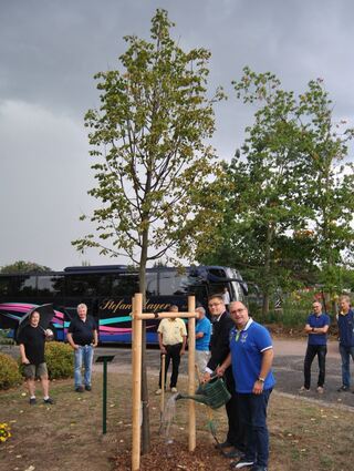 Baum geschenkt: Ex-Bürgermeister Jens Geiß gießt die Pflanze bei einem Besuch im September 2018 in Sachsen.