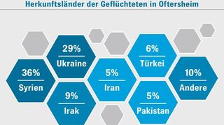 Die Aufschlüsselung der Herkunftsländer aller 309 geflüchteten Familien und Allein-stehenden in Oftersheim im Jahr 2022 nach Prozentzahlen.