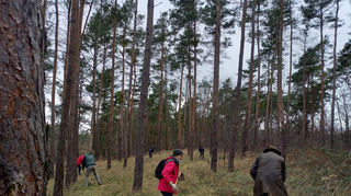 Ausgerüstet mit Spaten und Hacken durchkämmen die zahlreichen Helfer das Wald-gebiet auf der Suche nach den Neophyten.