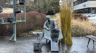 Nachschub für die Produktion: Das Ketscher Korbflechter-Denkmal am Rathaus hat ein paar frisch geschnittene Weidenruten bekommen, damit die traditionsreiche Arbeit weitergehen kann.