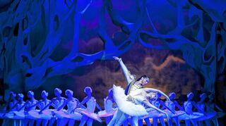 <p>Da stimmt jeder Schritt: Das Ballogh-Ballett macht Station in Schwetzingen und tanzt am 3. Januar den "Schwanensee" auf der Bühne im Rokokotheater.</p>