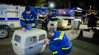 Kontrolle der Hundeboxen am Treffpunkt in Rüsselsheim.
