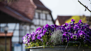 vorm Gasthaus Löwen