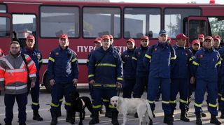 Griechische Feuerwehrleute mit Hunden machten sich umgehend nach dem Beben auf den Weg in die Türkei.