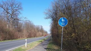 Den Fahrradweg zwischen Ketsch und Schwetzingen befährt man offiziell korrekt nach Schwetzingen (hier geht der Blick gen Schwetzingen) rechts und von Schwetzingen kommend auf der anderen Seite.