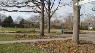 Die erste Blüte nach dem Winter ist in den Gartenschaupark zurückgekehrt. Der Einsatz des Fördervereins sorgt mit dafür, dass es so im Lauf des Jahres weitergeht und der Park attraktiv für die Besucher bleibt.