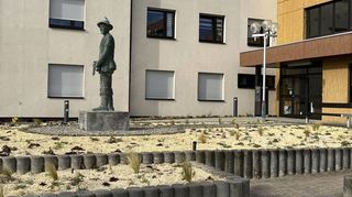 Vor der Gebäudeseite links vom Haupteingang des Rathauses soll das neue Insektenhotel entstehen.