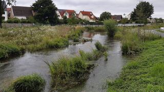 Das HÖP ist ein, wenn auch viel zu kurzes, Paradebeispiel dafür, wie Städte auf den Klimawandel reagieren können: Mit Überschwemmungsflächen, die nach Starkregen-ereignissen das Wasser halten und es nicht postwendend über die Kanalisation abführen. Künftig muss es die Regel sein, Wasser zu halten, es für dürre Zeiten zu puffern.