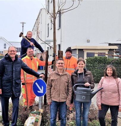 Bauhofleiter Marcus Schütterle (mit Hammer) erhält bei der Baumsicherung Unterstützung durch Dennis Riehl und Peter Schneider sowie als Gäste Bürgermeister Dr. Ralf Göck, Baumpaten Nicole und Steffen von Steht sowie Klimaschutzmanagerin Birgit Sehls.