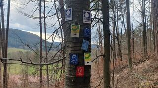 Es gibt viele Wanderrouten rund um Erfweiler: Die Hahnfels-Tour ist sehr gut markiert. Mit einem weißen Hahn auf blauem Untergrund.