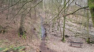 Der Erfweiler Wasserfall.