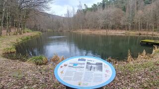 Still ruht der Landschaftsweiher. Auch dort gibt es Bänke und Tische für eine Rast.
