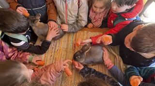 Es gibt jede Menge Streicheleinheiten für die Langohren, wenn die Ferienkinder bei den Klientierzüchtern zu Gast sind.