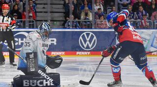 Kein Vorbeikommen: Adler-Stürmer Jordan Szwarz (rechts) findet gegen Ingolstadts Torwart Kevin Reich keine Lücke. Bereits an Karsamstag geht es mit Spiel fünf der Halbfinalserie in Ingolstadt weiter.