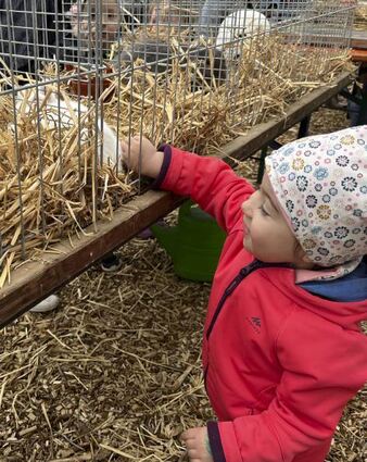 Die kleine Hand von Leonie (2) passt durch die Gitterstäbe und der Hase lässt sich gerne streicheln.