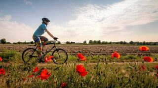 Unsere Region bietet tolle Landschaften, die vom Sattel aus noch besser erlebbar sind (hier: Tour de Spargel bei Schwetzingen). Die Ortsgruppe des Allgemeinen Deutschen Fahrrad-Clubs möchte das Rad noch mehr in den Alltag integrieren.