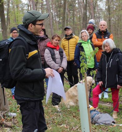 Forstbezirkleiter Philipp Schweigler zeigt während einer Waldbegehung gepflanzte Bäumchen. Die meisten sterben nach kurzer Zeit ab. Schuld seien die Engerlinge.